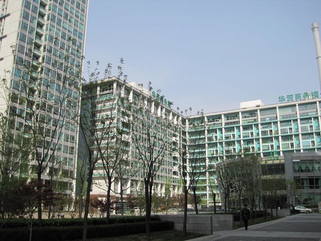 齐悦国际马桶掉进异物如何解决